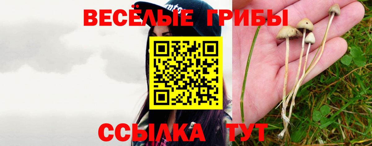 Псилоцибиновые грибы Psilocybine cubensis  Галлюциногенные грибы прущие грибы  Выборг  Вход с VPN 